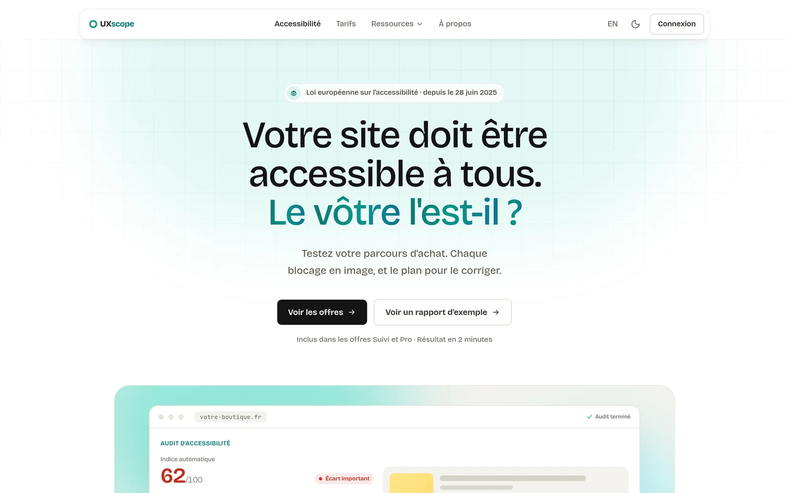 The accessibility audit